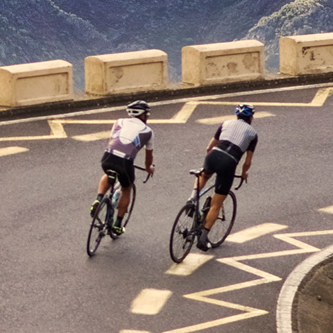 habu in cycling