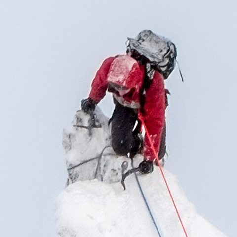habu in Hike and trail